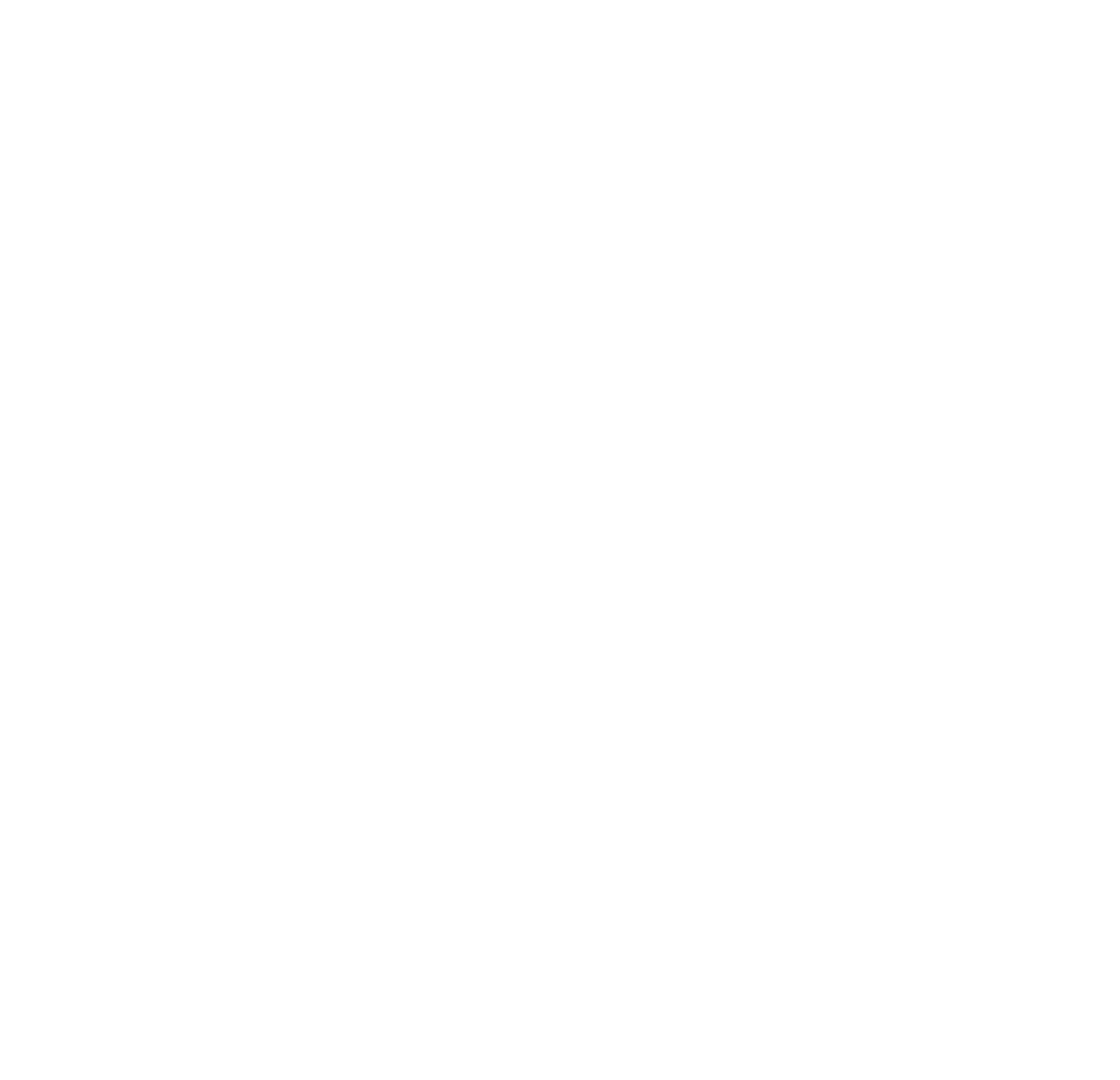 Blaguna logo