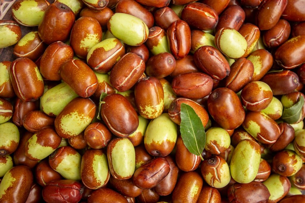 Jojoba