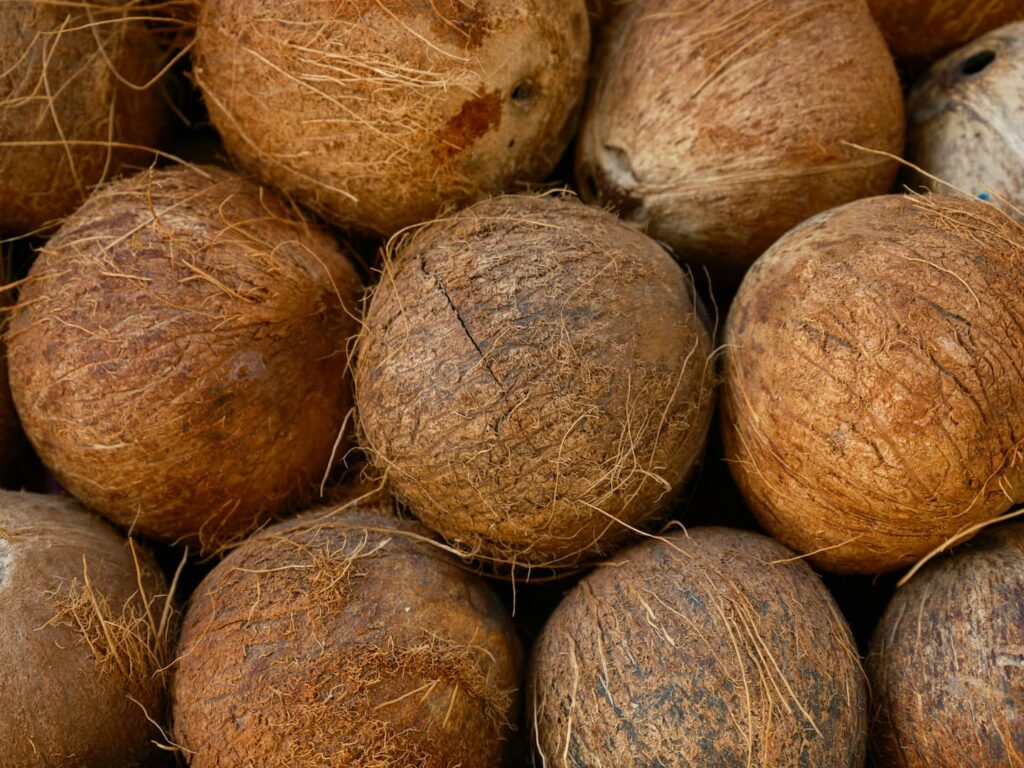 Kokos