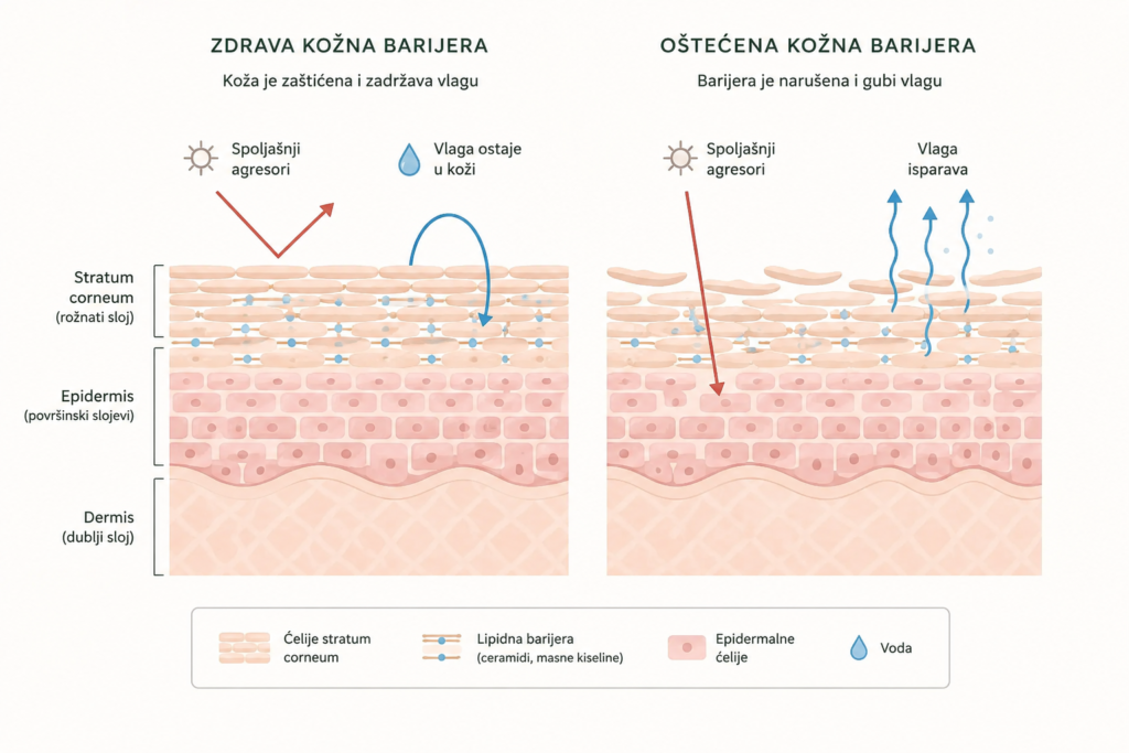 Uljani serum za lice i očuvanje zaštitne barijere kože